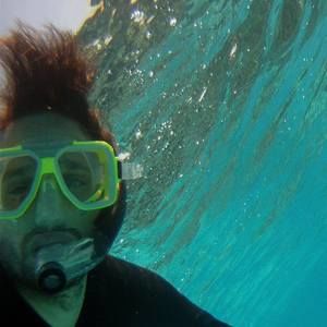 Meet your Posher, Felix